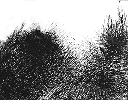Untitled #4 1959 Ink on paper 22 1/2 x 18 1/4